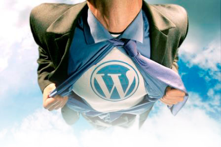 Wordpress for superior SEO and CMS - We love WordPress